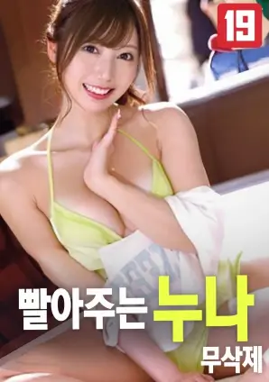 傍晚向日葵